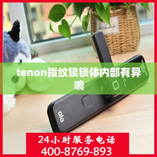 tenon指纹锁锁体内部有异响