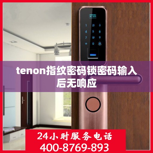 tenon指纹密码锁密码输入后无响应