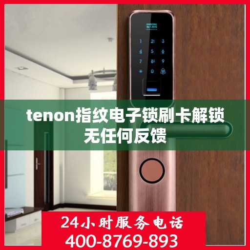 tenon指纹电子锁刷卡解锁无任何反馈