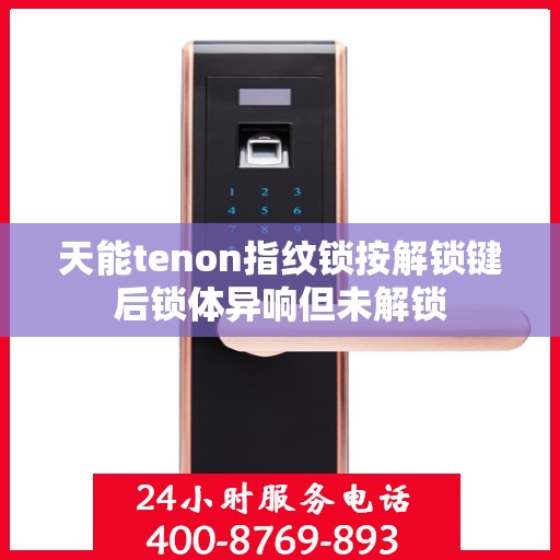 天能tenon指纹锁按解锁键后锁体异响但未解锁