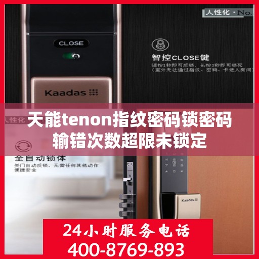 天能tenon指纹密码锁密码输错次数超限未锁定