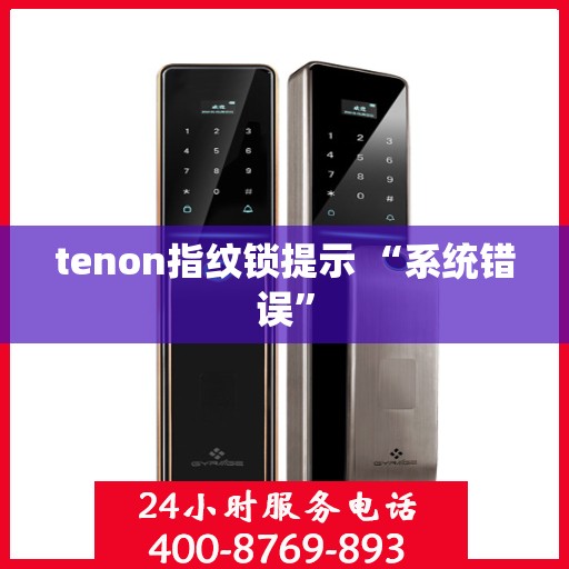 tenon指纹锁提示 “系统错误”