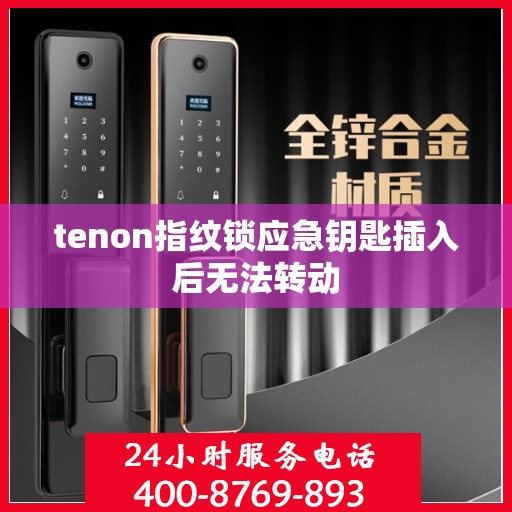 tenon指纹锁应急钥匙插入后无法转动
