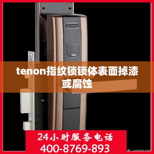 tenon指纹锁锁体表面掉漆或腐蚀