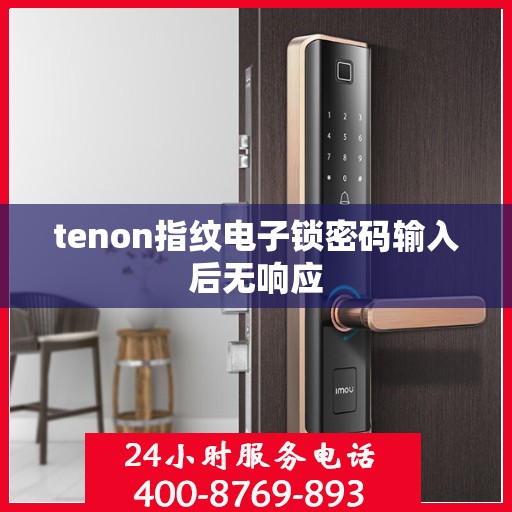 tenon指纹电子锁密码输入后无响应