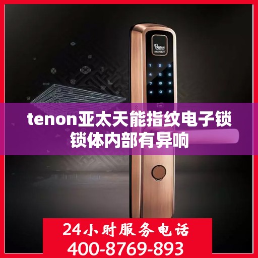 tenon亚太天能指纹电子锁锁体内部有异响