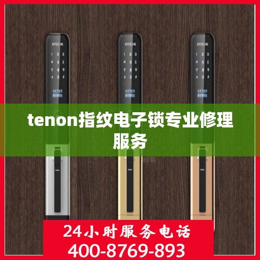 tenon指纹电子锁专业修理服务
