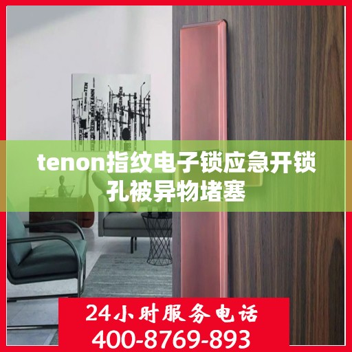 tenon指纹电子锁应急开锁孔被异物堵塞
