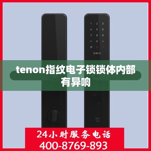 tenon指纹电子锁锁体内部有异响