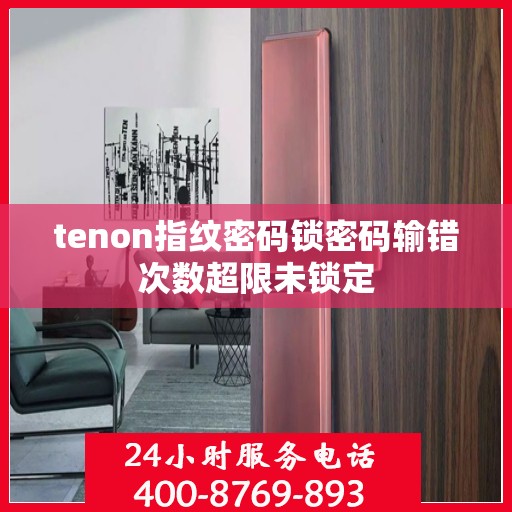 tenon指纹密码锁密码输错次数超限未锁定