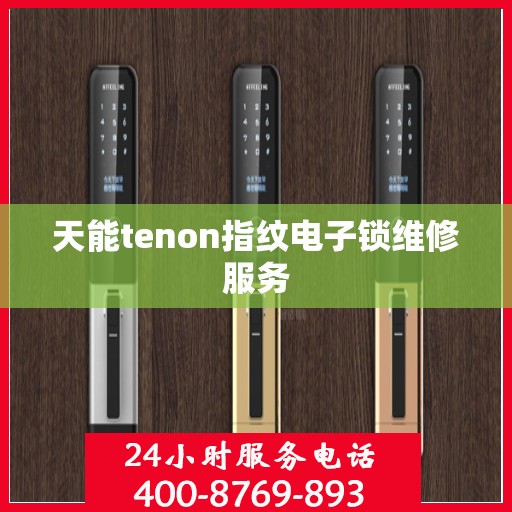天能tenon指纹电子锁维修服务