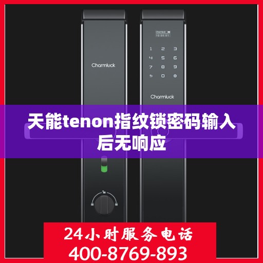 天能tenon指纹锁密码输入后无响应