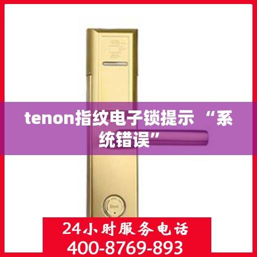 tenon指纹电子锁提示 “系统错误”