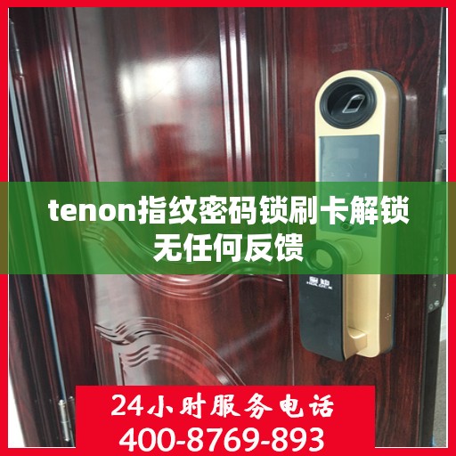 tenon指纹密码锁刷卡解锁无任何反馈