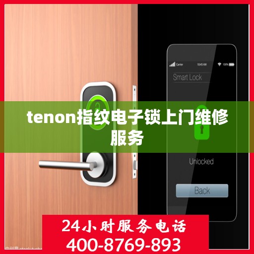 tenon指纹电子锁上门维修服务