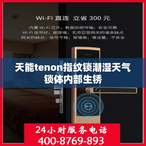 天能tenon指纹锁潮湿天气锁体内部生锈