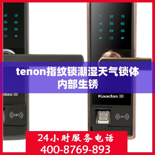tenon指纹锁潮湿天气锁体内部生锈