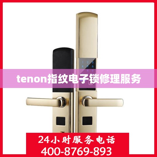 tenon指纹电子锁修理服务