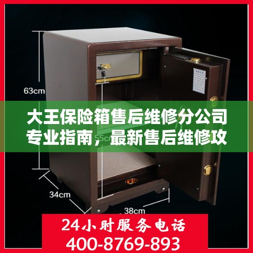 大王保险箱售后维修分公司专业指南，最新售后维修攻略