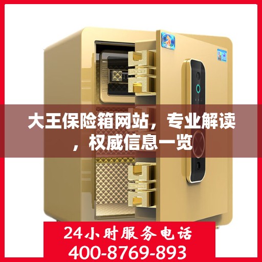 大王保险箱网站，专业解读，权威信息一览