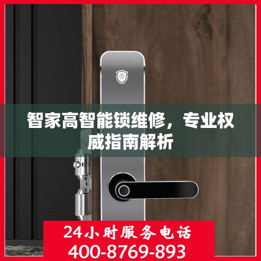 智家高智能锁维修，专业权威指南解析
