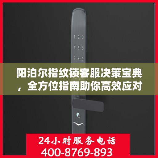 阳泊尔指纹锁客服决策宝典，全方位指南助你高效应对客户需求与挑战