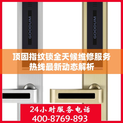 顶固指纹锁全天候维修服务热线最新动态解析