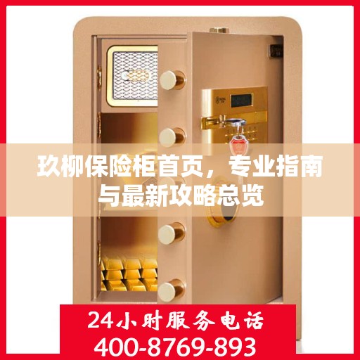玖柳保险柜首页，专业指南与最新攻略总览