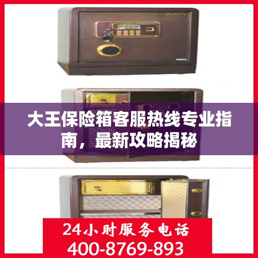 大王保险箱客服热线专业指南，最新攻略揭秘