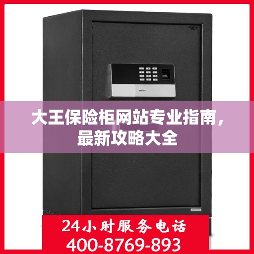 大王保险柜网站专业指南，最新攻略大全