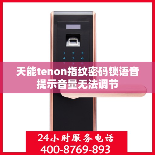 天能tenon指纹密码锁语音提示音量无法调节