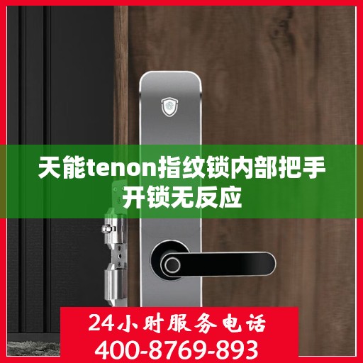 天能tenon指纹锁内部把手开锁无反应