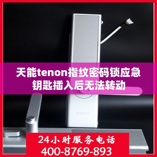 天能tenon指纹密码锁应急钥匙插入后无法转动