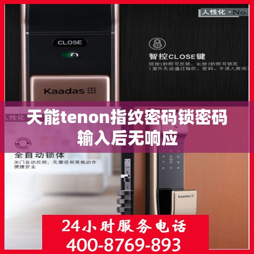 天能tenon指纹密码锁密码输入后无响应