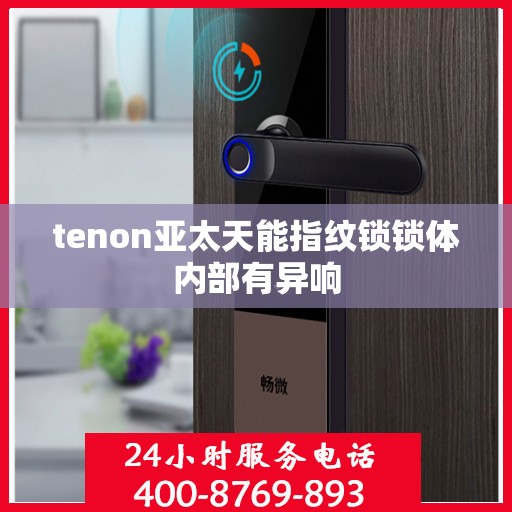 tenon亚太天能指纹锁锁体内部有异响