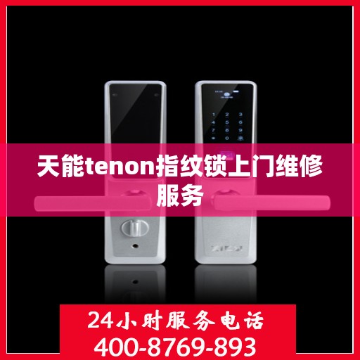 天能tenon指纹锁上门维修服务