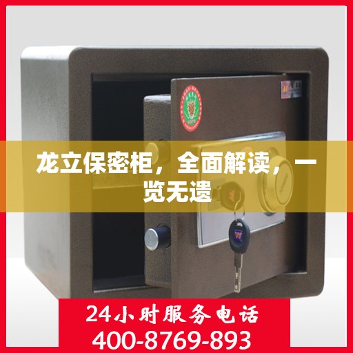龙立保密柜，全面解读，一览无遗