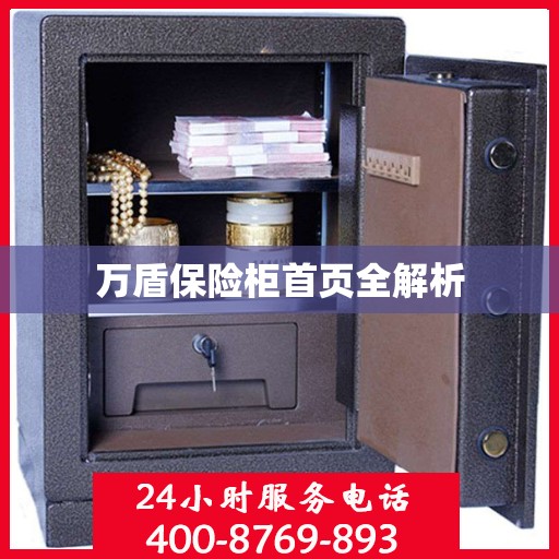 万盾保险柜首页全解析