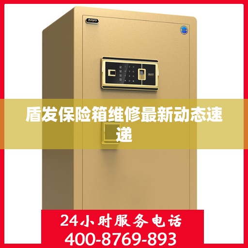 盾发保险箱维修最新动态速递