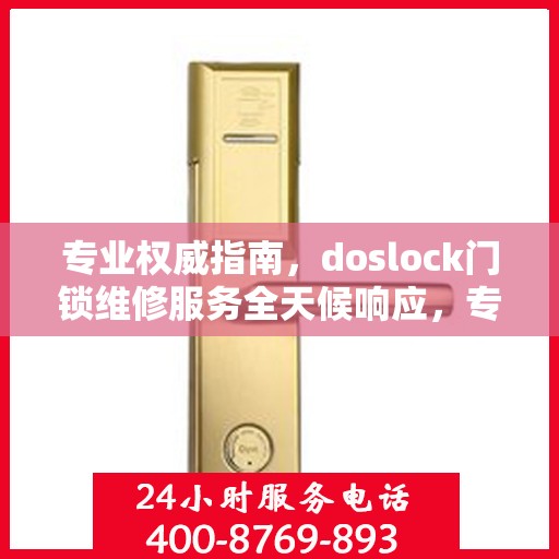 专业权威指南，doslock门锁维修服务全天候响应，专业维修团队为您排忧解难