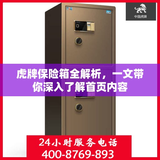 虎牌保险箱全解析，一文带你深入了解首页内容