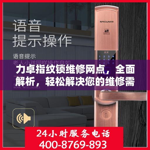 力卓指纹锁维修网点，全面解析，轻松解决您的维修需求