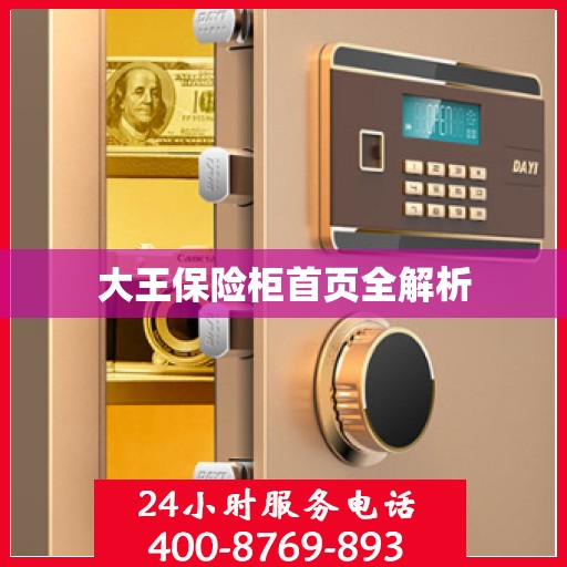 大王保险柜首页全解析