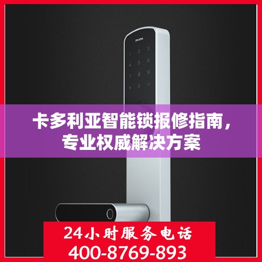 卡多利亚智能锁报修指南，专业权威解决方案