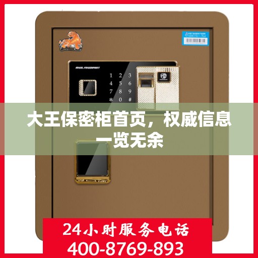 大王保密柜首页，权威信息一览无余
