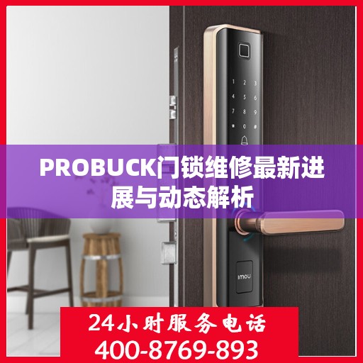 PROBUCK门锁维修最新进展与动态解析