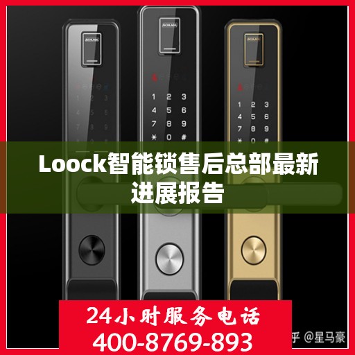Loock智能锁售后总部最新进展报告
