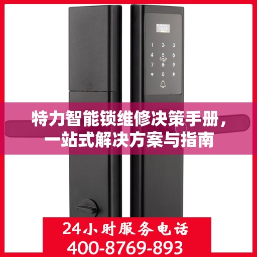 特力智能锁维修决策手册，一站式解决方案与指南