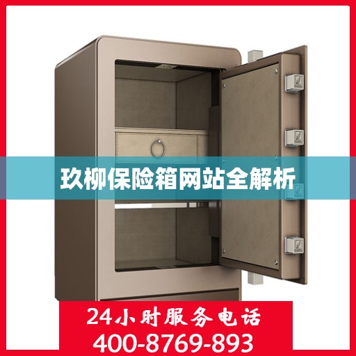 玖柳保险箱网站全解析