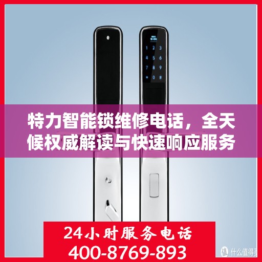 特力智能锁维修电话，全天候权威解读与快速响应服务